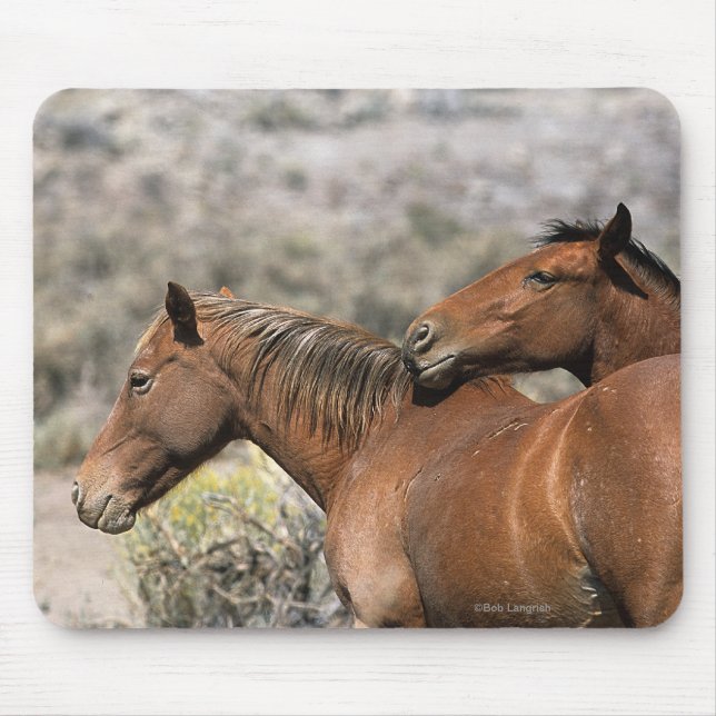 Wild Mustang Horses Touching Mouse Pad (Front)