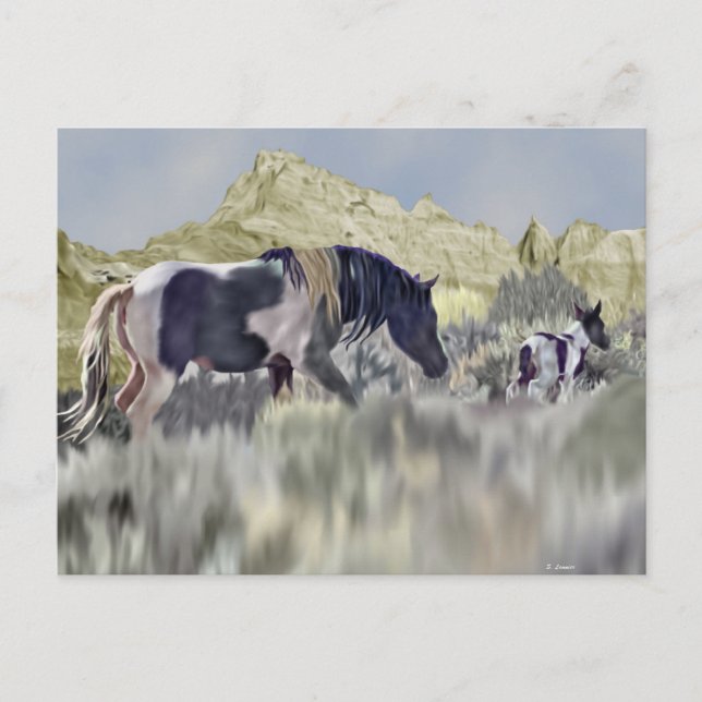 Wild Mustang Mare and Foal Postcard (Front)