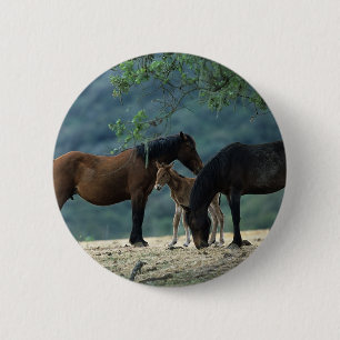 Wild Mustang Mare & Foal 6 Cm Round Badge