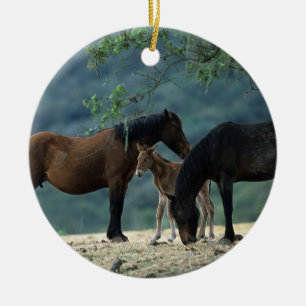 Wild Mustang Mare & Foal Ceramic Tree Decoration