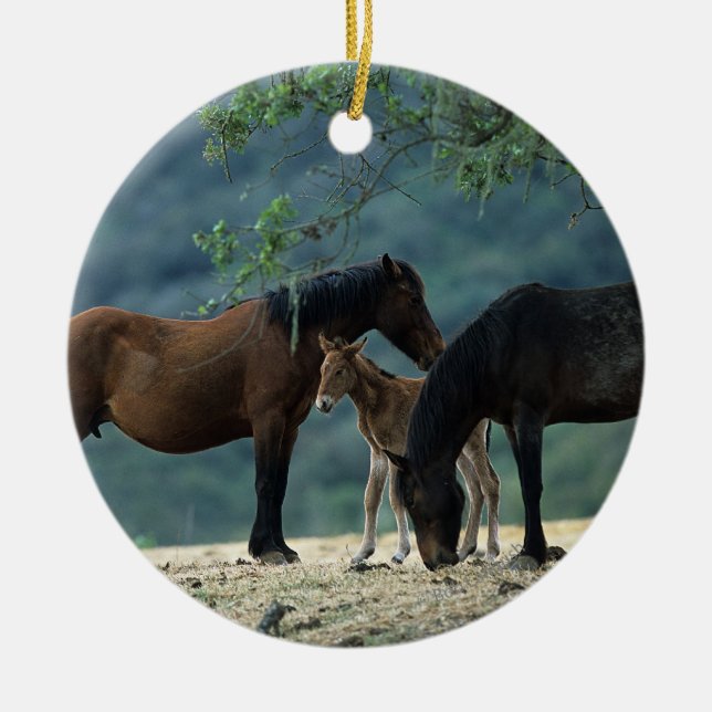 Wild Mustang Mare & Foal Ceramic Tree Decoration (Front)