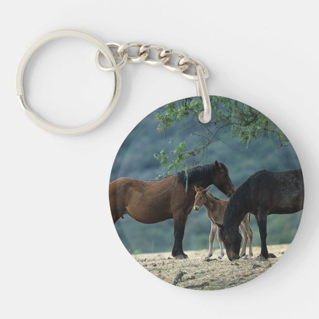 Wild Mustang Mare & Foal Key Ring (Front)