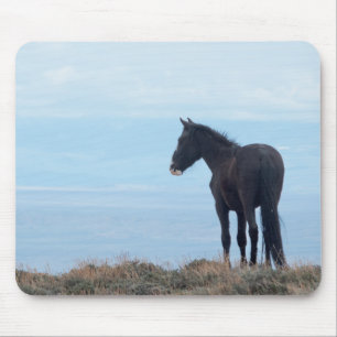 Wild Mustang Mouse Pad