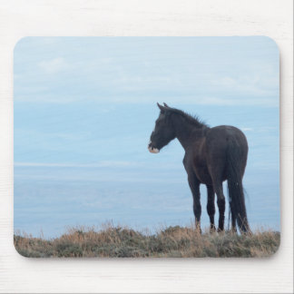 Wild Mustang Mouse Pad