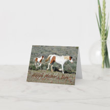 Wild Mustang Photo Mother's Day Card