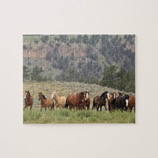 Wild Mustang Puzzle with Gift Box (Horizontal)