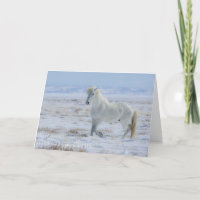 Wild Mustang Seasonal Card