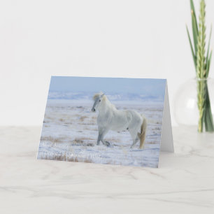 Wild Mustang Seasonal Card