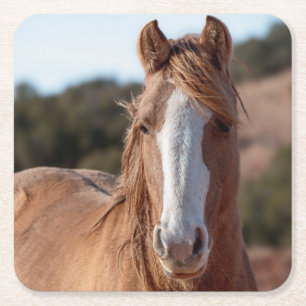 Wild Mustang Square Paper Coaster