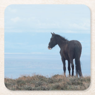 Wild Mustang Square Paper Coaster
