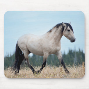 Wild Mustang Stallion Mouse Pad