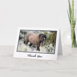 Wild Mustang Stallion Photo Thank You Card