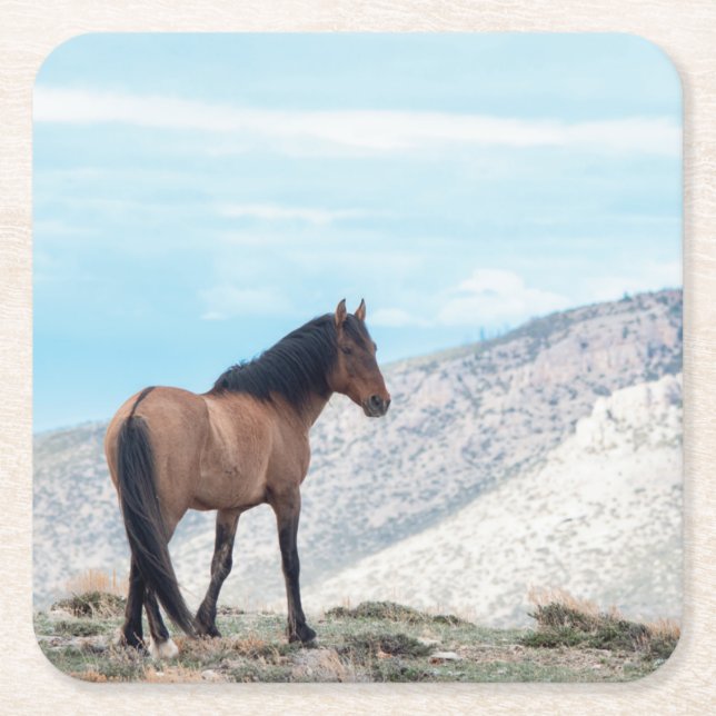 Wild Mustang Stallion Square Paper Coaster (Front)