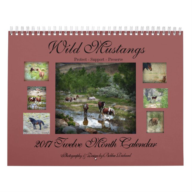 Wild Mustangs 2017 Calendar (Cover)