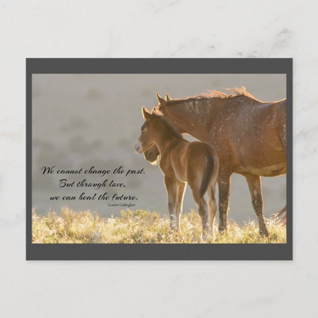 Wild Mustangs Forever Postcard (Front)