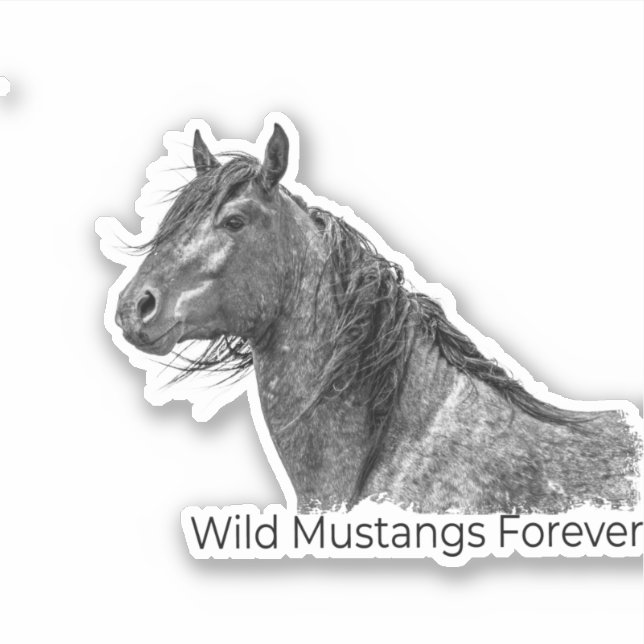 Wild Mustangs Forever Sticker (Front)