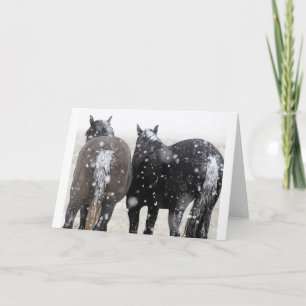 Wild Mustangs in the Snow card