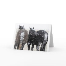 Wild Mustangs in the Snow card