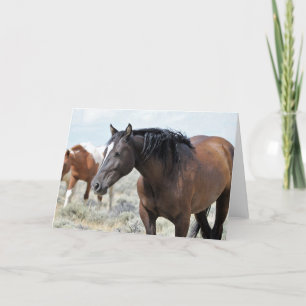 Wild Mustangs of the West Card
