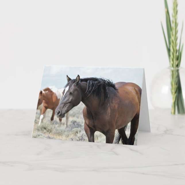 Wild Mustangs of the West Card (Front)