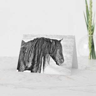 Wild Mustangs of the West Card