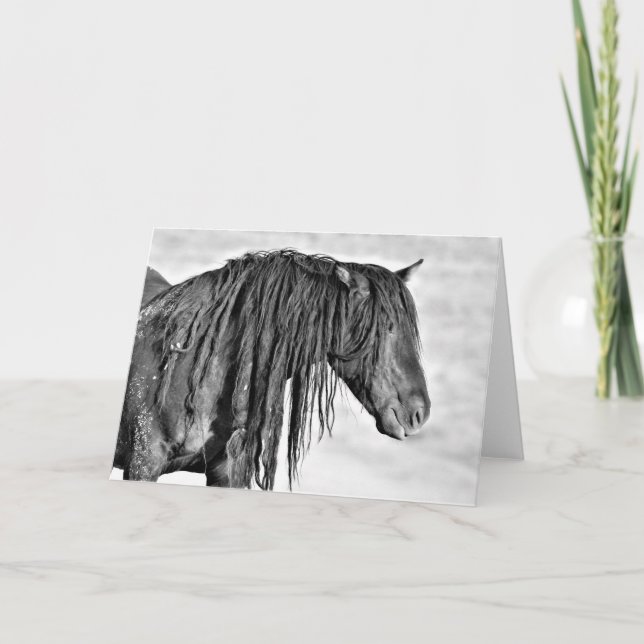 Wild Mustangs of the West Card (Front)