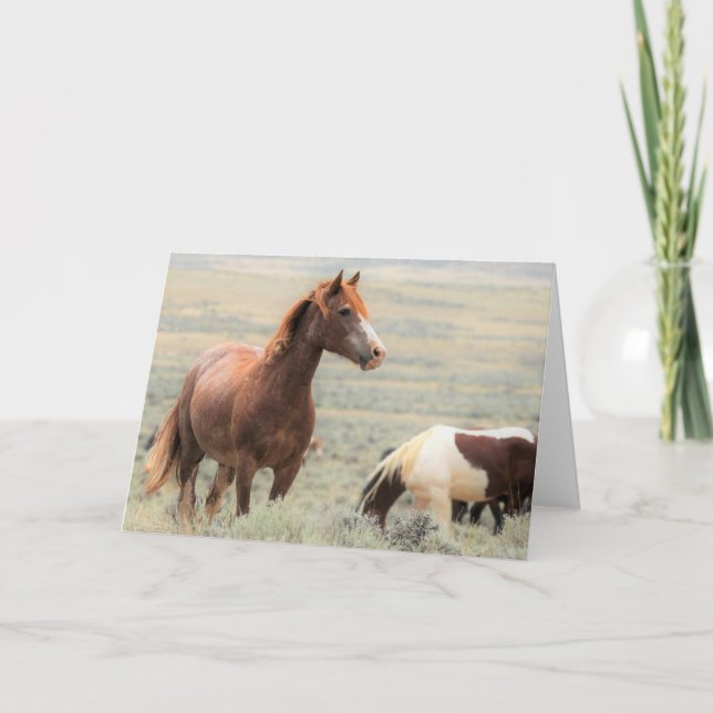 Wild Mustangs of the West Card (Front)
