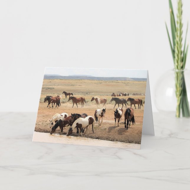 Wild Mustangs of the West Card (Front)