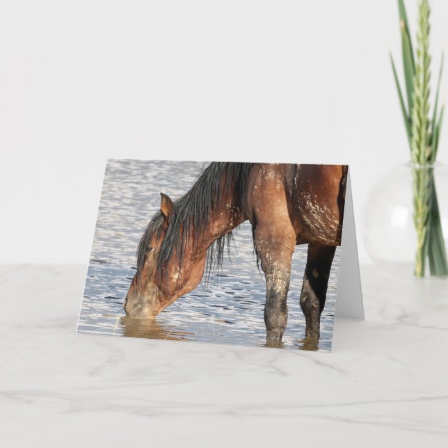 Wild Mustangs of the West Card (Front)