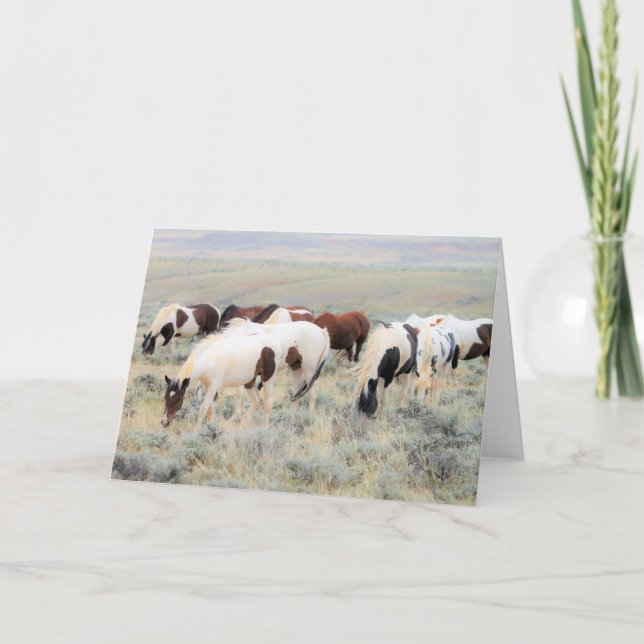 Wild Mustangs of the West Card (Front)