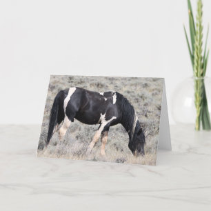 Wild Mustangs of the West Card