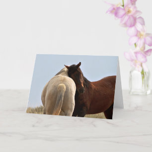 Wild Mustangs of the West Card