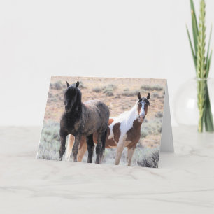 Wild Mustangs of the West Card