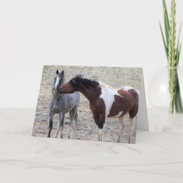 Wild Mustangs of the West Card (Front)