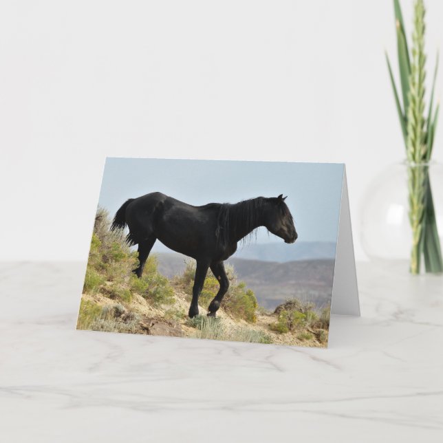 Wild Mustangs of the West Card (Front)