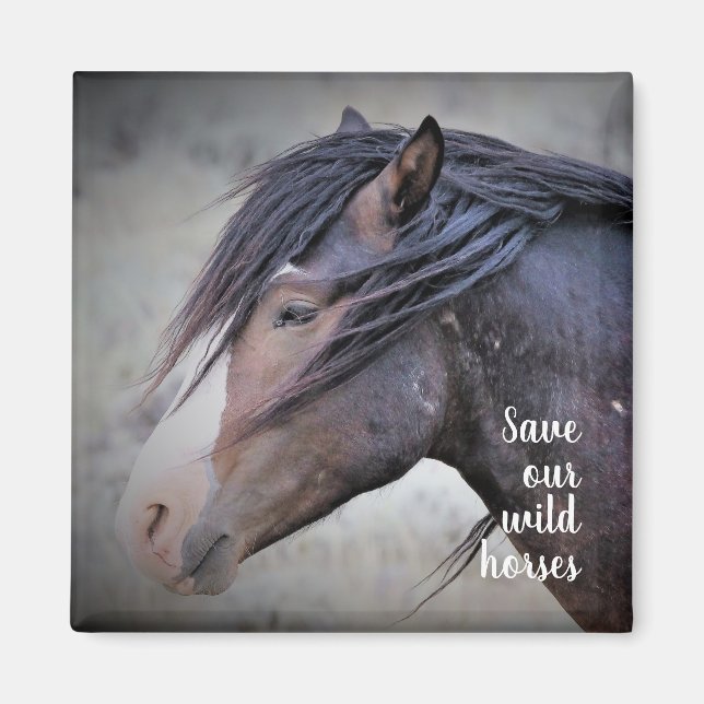 Wild Mustangs of the West Magnet (Front)
