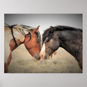 Wild Mustangs of the West Poster