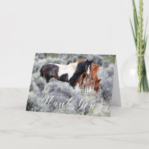 Wild Mustangs Photo Thank You Card