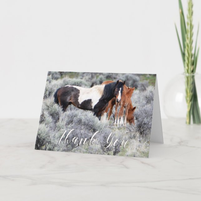 Wild Mustangs Photo Thank You Card (Front)