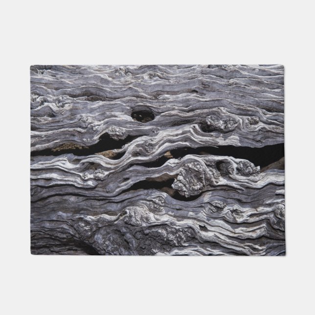 Wild Olive Tree | Great Karoo, South Africa Doormat (Front)