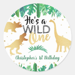 Wild One Dinosaur Boys 1st Birthday Classic Round Sticker