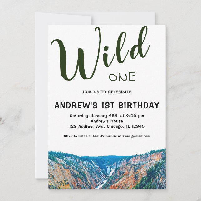 Wild One Rustic Mountain Waterfall 1st Birthday Invitation (Front)