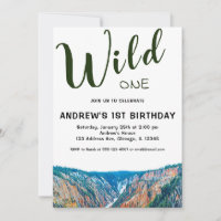 Wild One Rustic Mountain Waterfall 1st Birthday