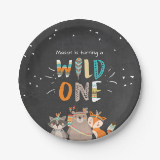 Wild One Tribal Woodland birthday Paper Plates