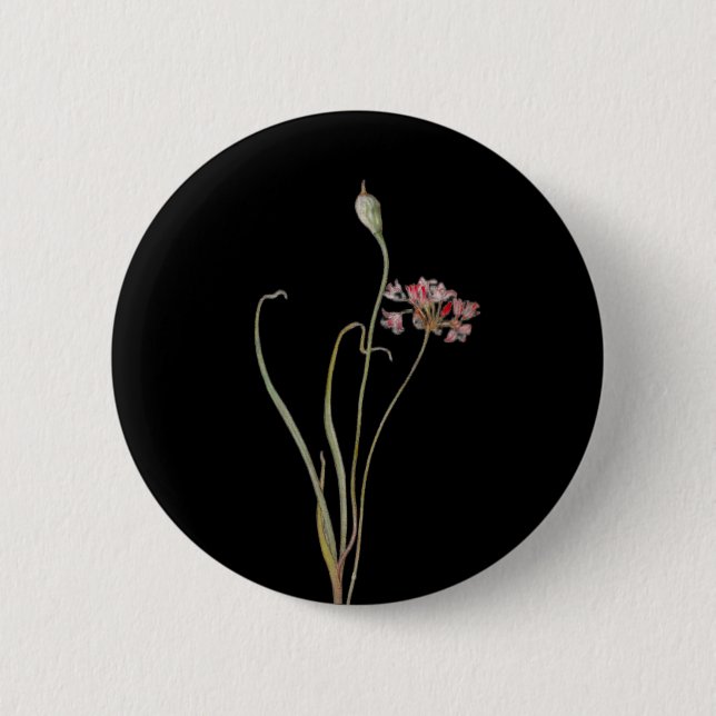 Wild Onion 6 Cm Round Badge (Front)