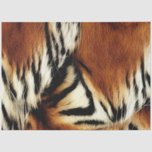 Wild Orange and White Tiger Stripes Tissue Paper
