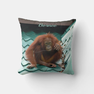 Wild Orangutan Ape on Roof in Borneo Photograph Cushion