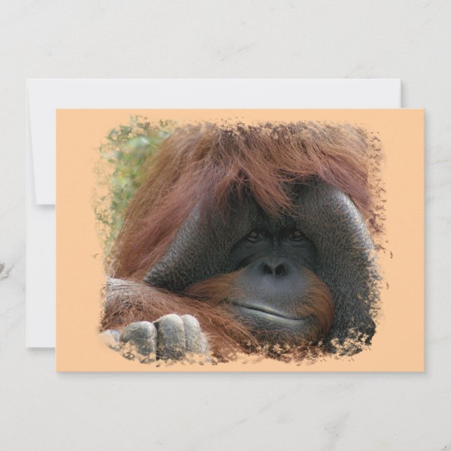 Wild Orangutan Birthday Party Invites (Front)
