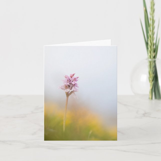 Wild Orchid Nature Photo Card (Front)