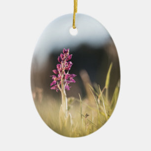 Wild Orchid Nature Photo Ceramic Ornament